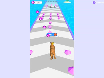 Cat Evolution