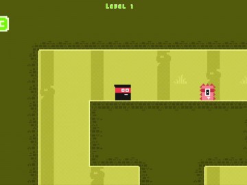 Kingdom of Ninja 2